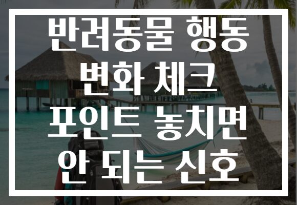 반려동물 행동 변화 체크 포인트 놓치면 안 되는 신호