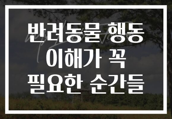 반려동물 행동 이해가 꼭 필요한 순간들