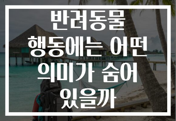 반려동물 행동에는 어떤 의미가 숨어 있을까