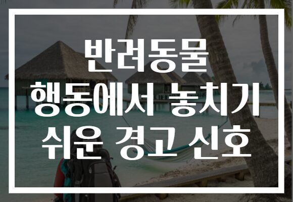 반려동물 행동에서 놓치기 쉬운 경고 신호