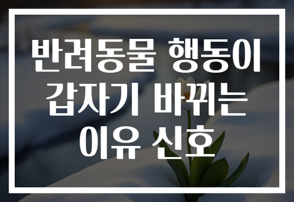 반려동물 행동이 갑자기 바뀌는 이유 신호