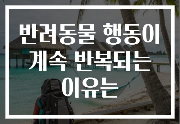 반려동물 행동이 계속 반복되는 이유는