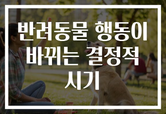 반려동물 행동이 바뀌는 결정적 시기