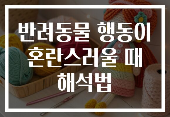 반려동물 행동이 혼란스러울 때 해석법