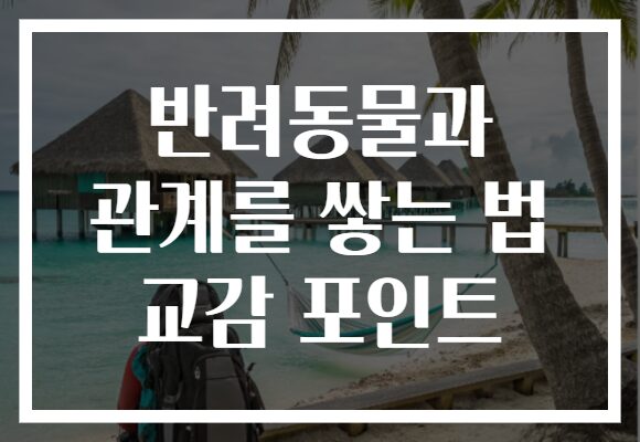 반려동물과 관계를 쌓는 법 교감 포인트