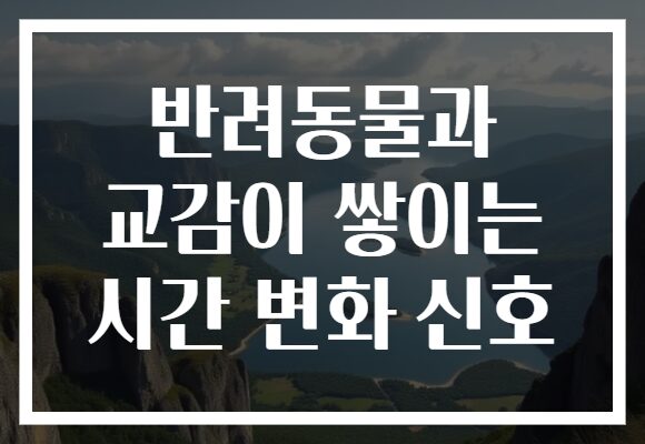 반려동물과 교감이 쌓이는 시간 변화 신호