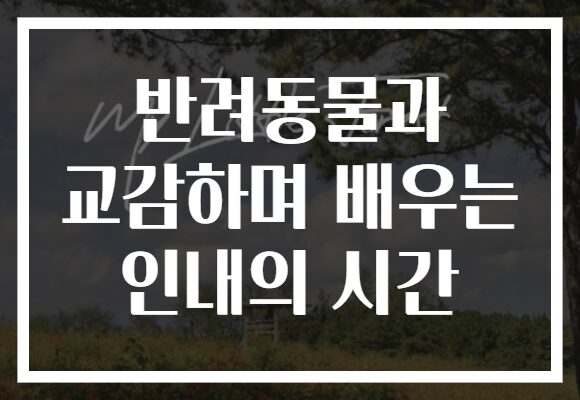 반려동물과 교감하며 배우는 인내의 시간