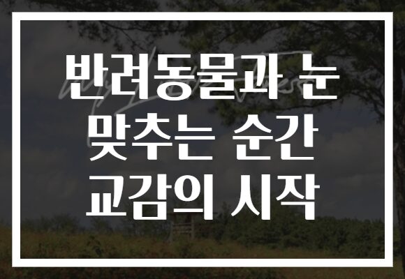 반려동물과 눈 맞추는 순간 교감의 시작