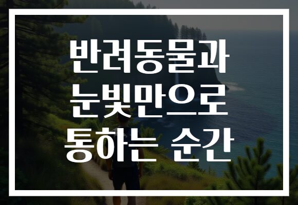 반려동물과 눈빛만으로 통하는 순간