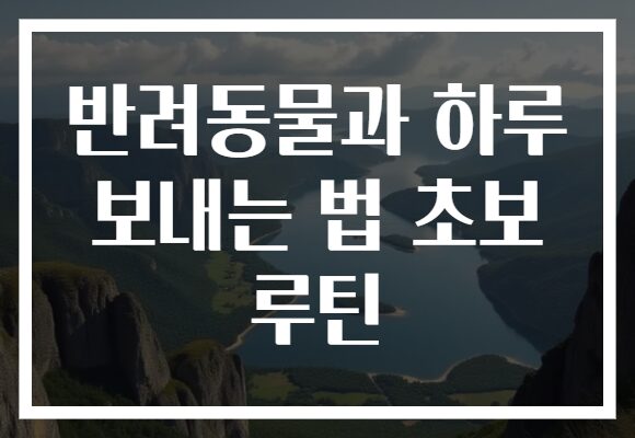 반려동물과 하루 보내는 법 초보 루틴