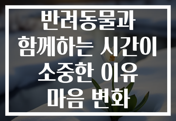 반려동물과 함께하는 시간이 소중한 이유 마음 변화