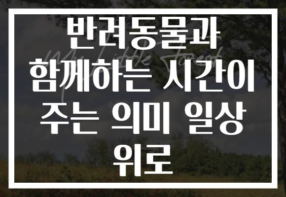 반려동물과 함께하는 시간이 주는 의미 일상 위로