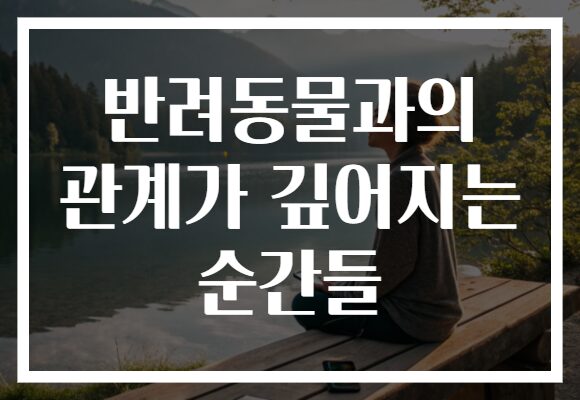 반려동물과의 관계가 깊어지는 순간들