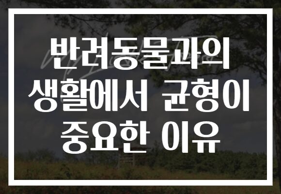 반려동물과의 생활에서 균형이 중요한 이유