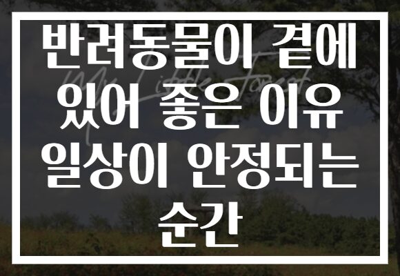 반려동물이 곁에 있어 좋은 이유 일상이 안정되는 순간