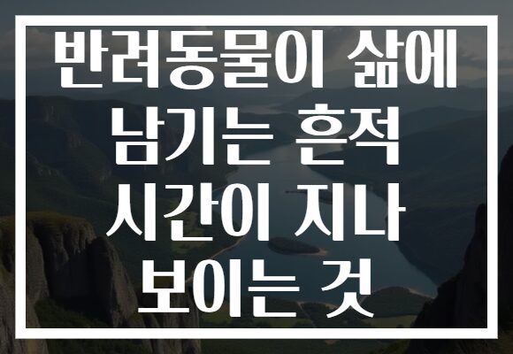 반려동물이 삶에 남기는 흔적 시간이 지나 보이는 것