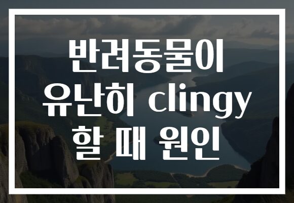 반려동물이 유난히 clingy 할 때 원인