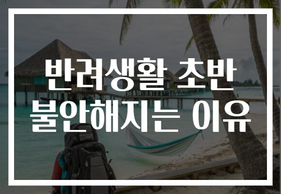 반려생활 초반 불안해지는 이유