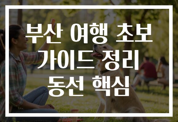부산 여행 초보 가이드 정리 동선 핵심