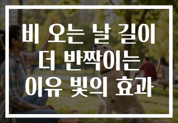 비 오는 날 길이 더 반짝이는 이유 빛의 효과