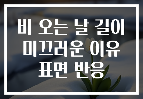 비 오는 날 길이 미끄러운 이유 표면 반응