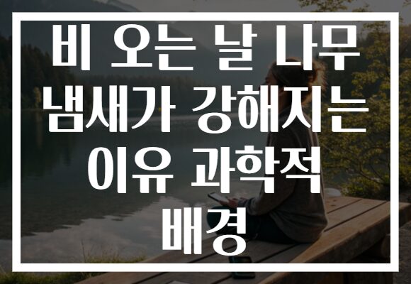 비 오는 날 나무 냄새가 강해지는 이유 과학적 배경
