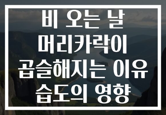 비 오는 날 머리카락이 곱슬해지는 이유 습도의 영향