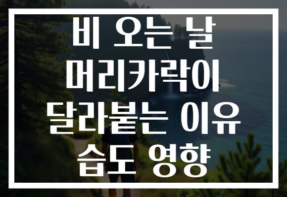 비 오는 날 머리카락이 달라붙는 이유 습도 영향