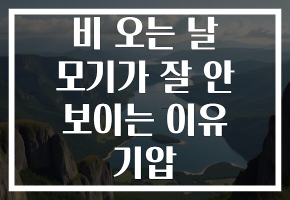 비 오는 날 모기가 잘 안 보이는 이유 기압