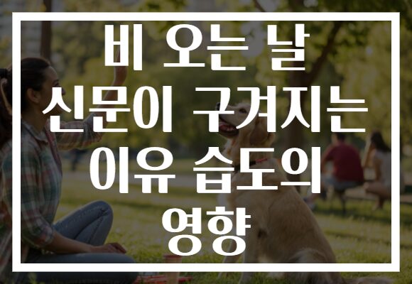 비 오는 날 신문이 구겨지는 이유 습도의 영향