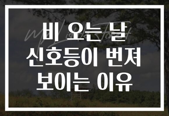 비 오는 날 신호등이 번져 보이는 이유