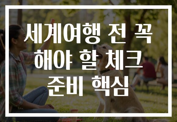 세계여행 전 꼭 해야 할 체크 준비 핵심