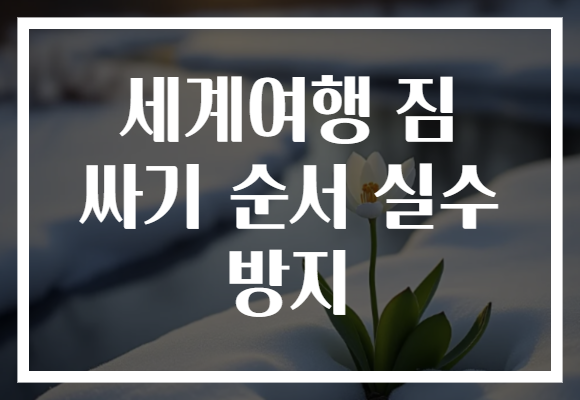 세계여행 짐 싸기 순서 실수 방지