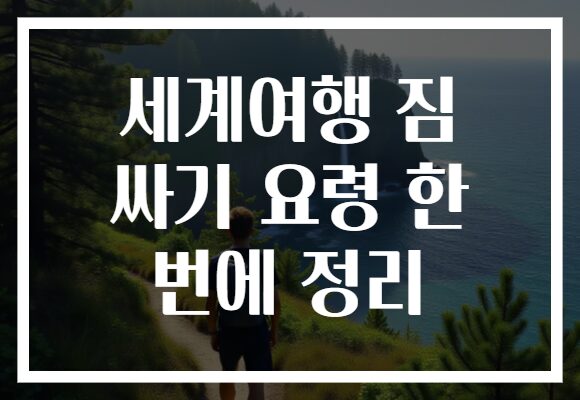 세계여행 짐 싸기 요령 한 번에 정리