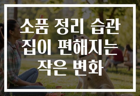 소품 정리 습관 집이 편해지는 작은 변화