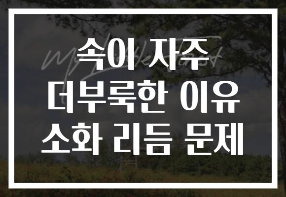 속이 자주 더부룩한 이유 소화 리듬 문제