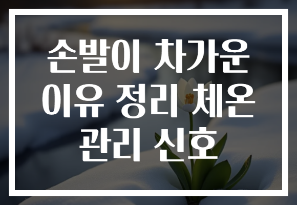 손발이 차가운 이유 정리 체온 관리 신호