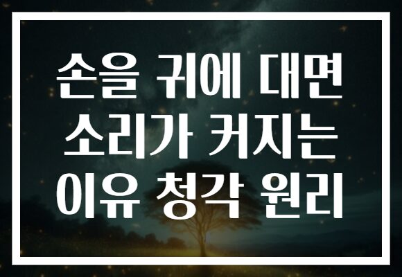 손을 귀에 대면 소리가 커지는 이유 청각 원리