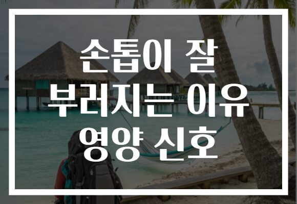 손톱이 잘 부러지는 이유 영양 신호