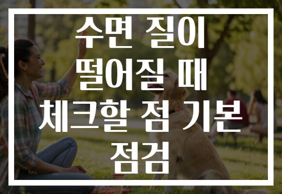 수면 질이 떨어질 때 체크할 점 기본 점검