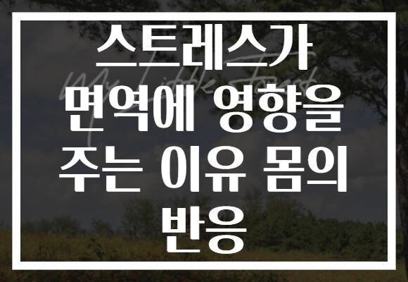 스트레스가 면역에 영향을 주는 이유 몸의 반응