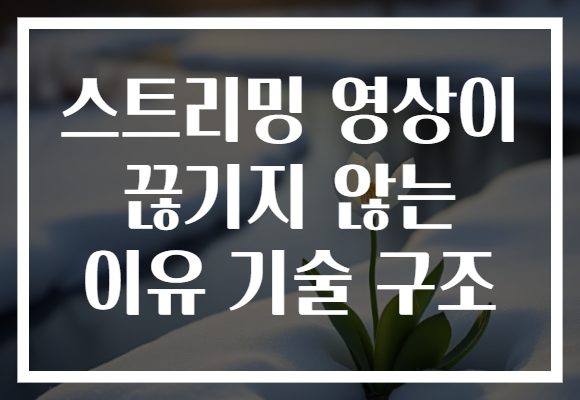 스트리밍 영상이 끊기지 않는 이유 기술 구조