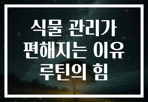 식물 관리가 편해지는 이유 루틴의 힘