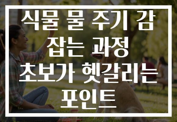 식물 물 주기 감 잡는 과정 초보가 헷갈리는 포인트