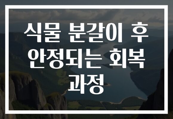 식물 분갈이 후 안정되는 회복 과정