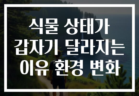 식물 상태가 갑자기 달라지는 이유 환경 변화