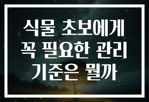 식물 초보에게 꼭 필요한 관리 기준은 뭘까