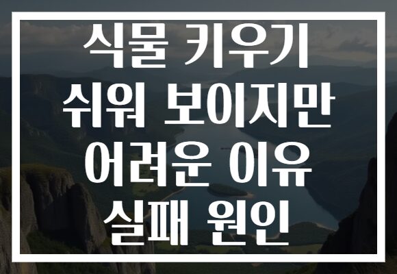 식물 키우기 쉬워 보이지만 어려운 이유 실패 원인