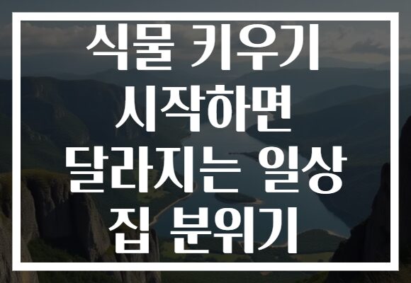 식물 키우기 시작하면 달라지는 일상 집 분위기