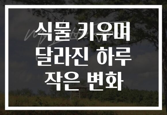 식물 키우며 달라진 하루 작은 변화